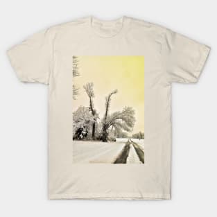 Southern Illinois Winter Scene 9_ Dec 2012 T-Shirt